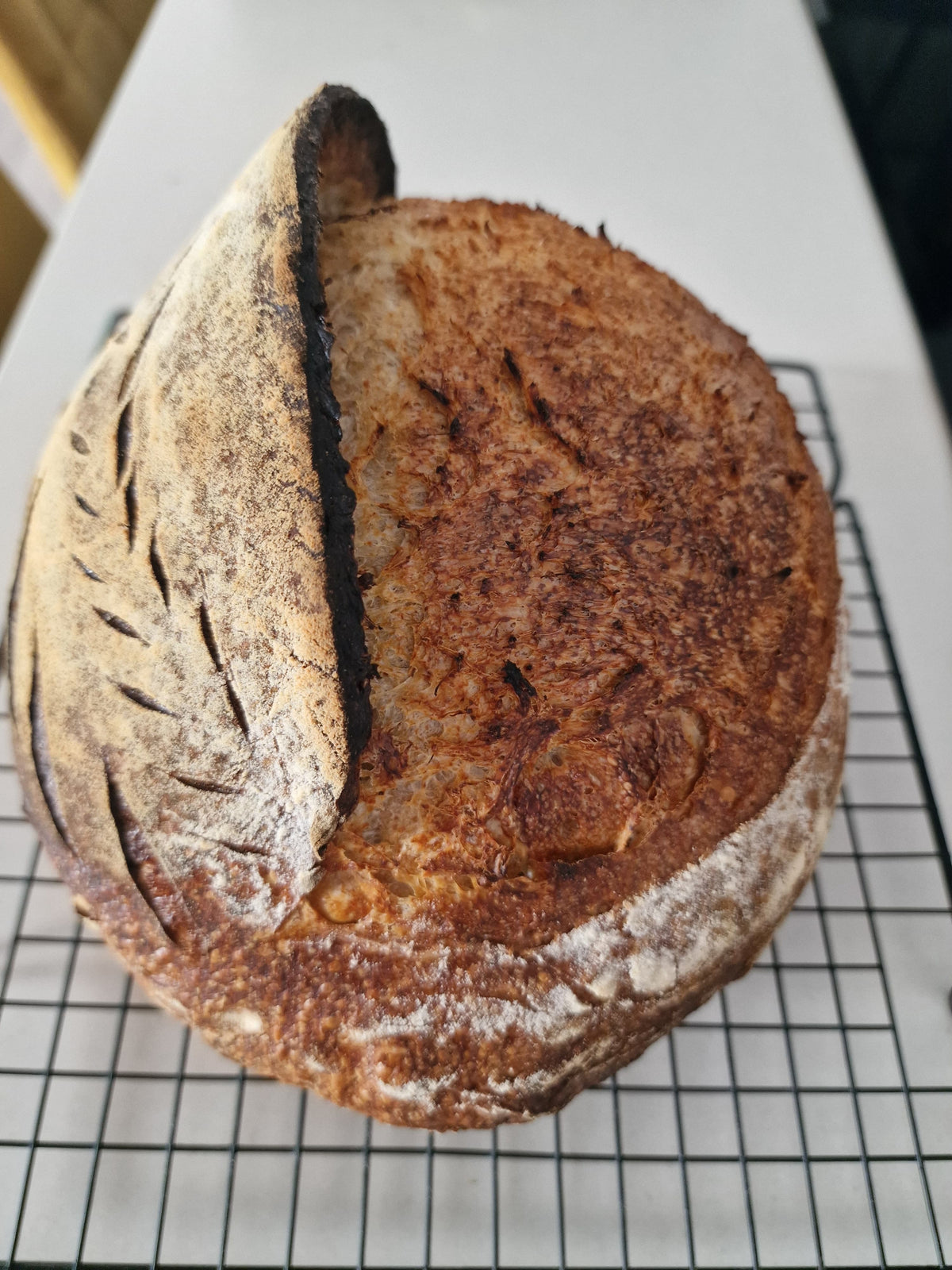 Pâine integrală 100%